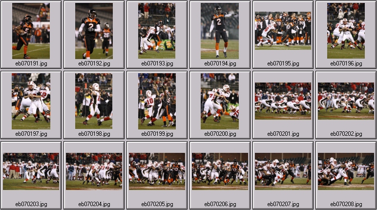 osu football