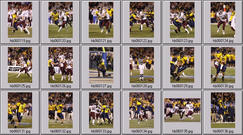 cal bear football