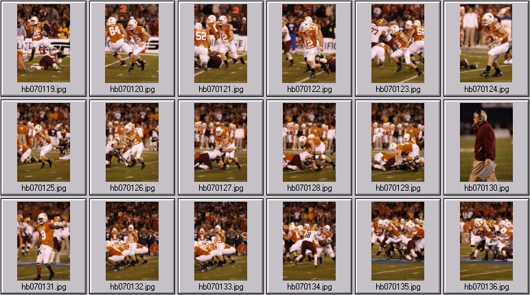 wildcat football