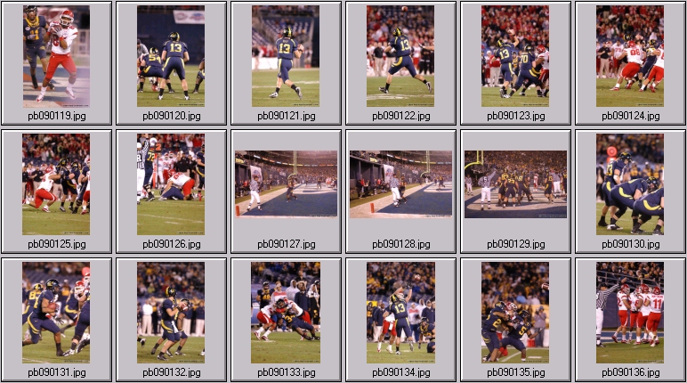 poinsettia bowl 5 photos
