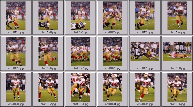 san francisco 49ers