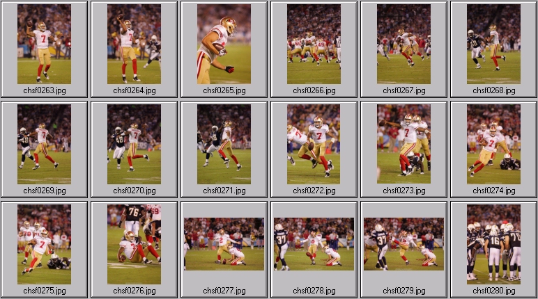 san francisco 49ers