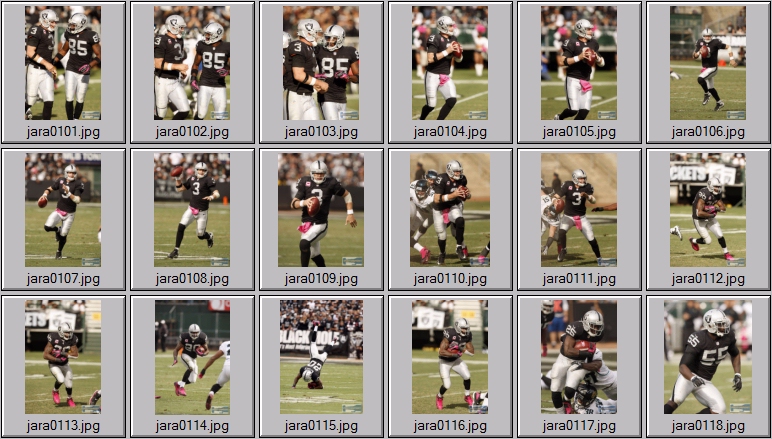 Oakland raiders