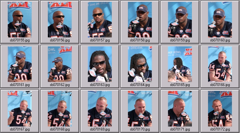 chicago bears