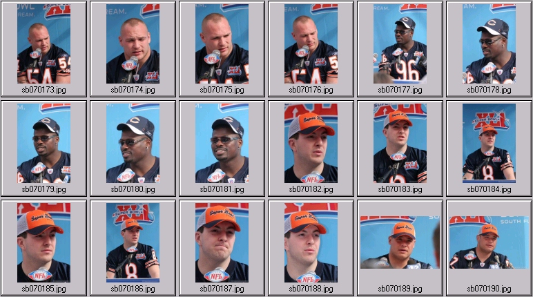 chicago bears