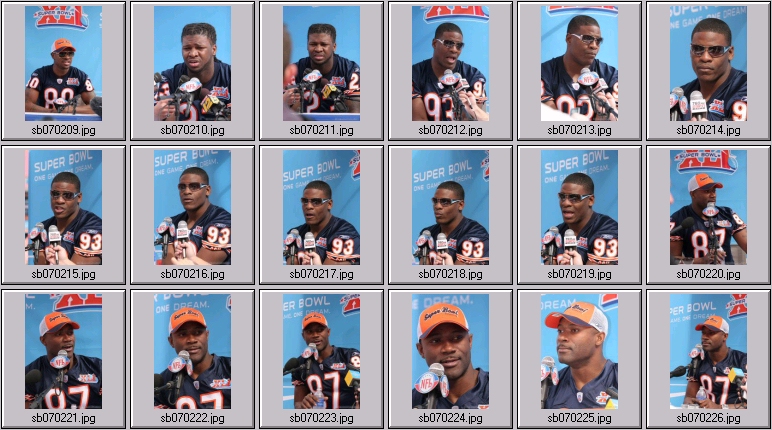 chicago bears
