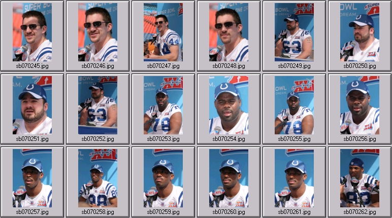 indianapolis colts