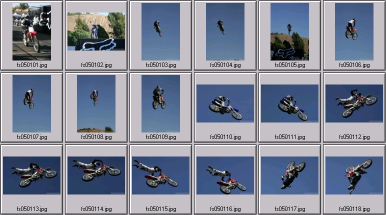 freestyle mx
