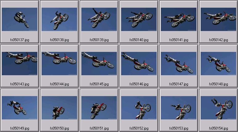 freestyle mx