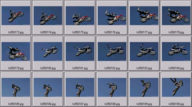 freestyle mx
