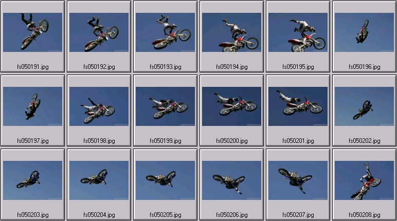 freestyle mx