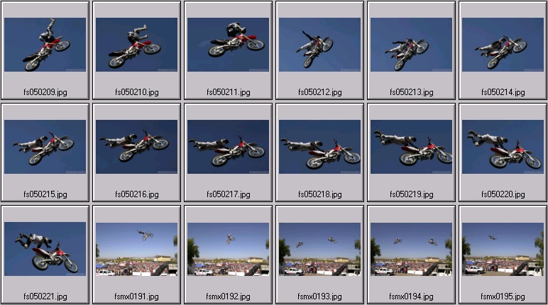 freestyle mx