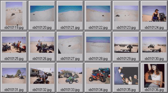 spring break 2001