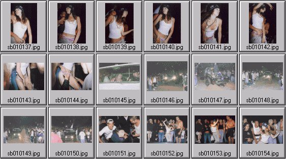 spring break 2001