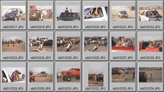 spring break 2001