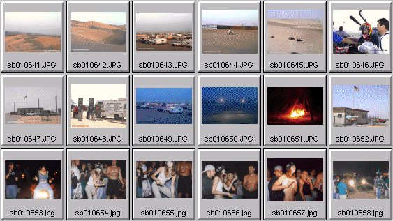 spring break 2001