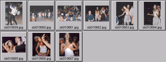 spring break 2001