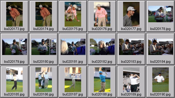 golf photos