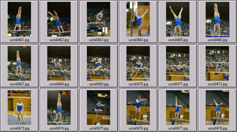 michigan gymnastics