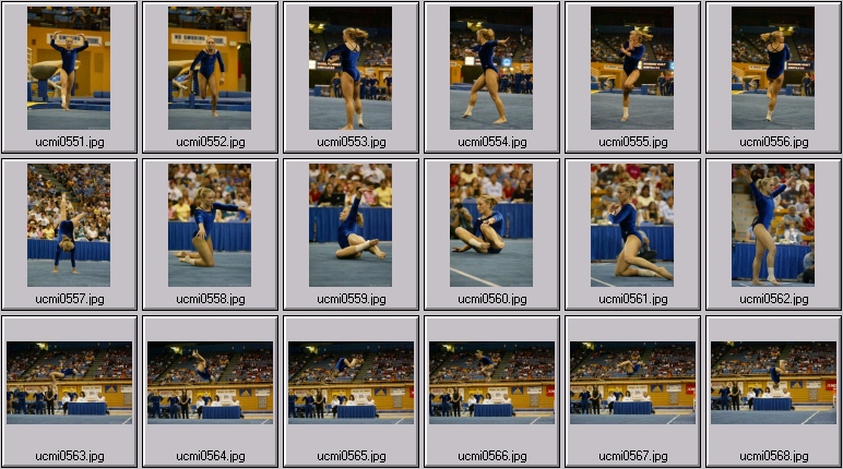 ucla gymnastics