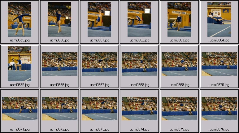 ucla gymnastics
