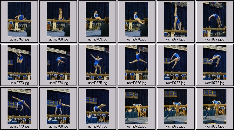 ucla gymnastics