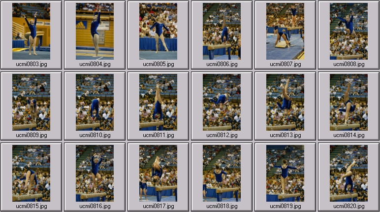 ucla gymnastics