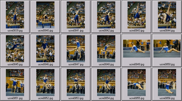 michigan gymnastics