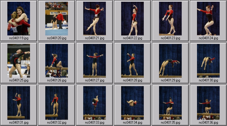 florida gymnastics