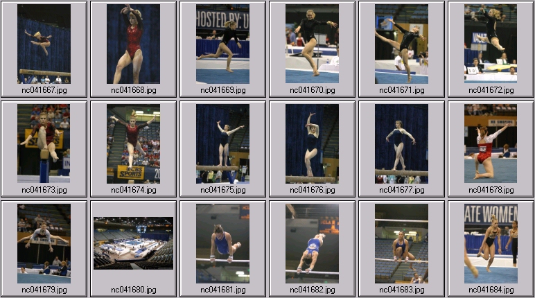 stanford gymnastics