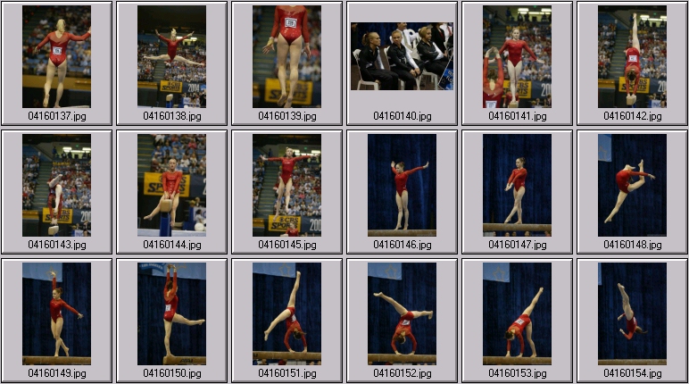 florida gymnastics