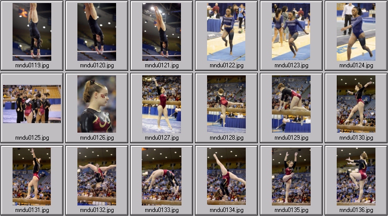 womens gymnastics