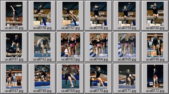 college womens gymnastics photos