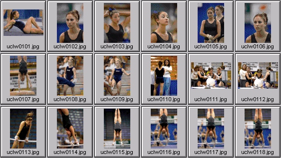 college gymnastics photos
