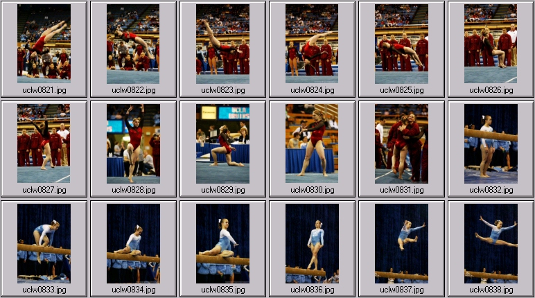 womens gymnasts