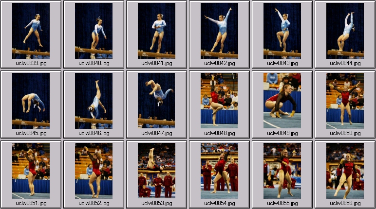 womens gymnasts