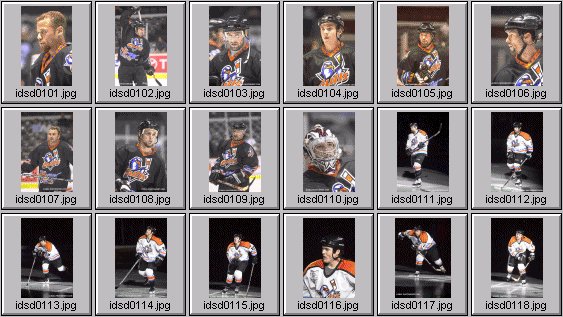 hockey photos
