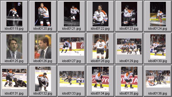 hockey photos