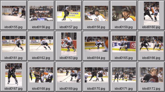 hockey photos