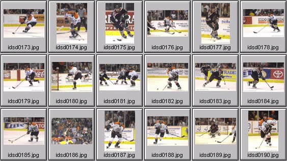 hockey photos
