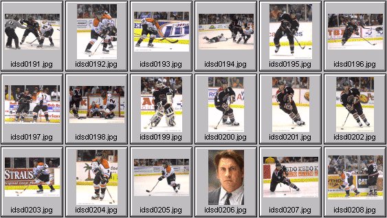 hockey photos