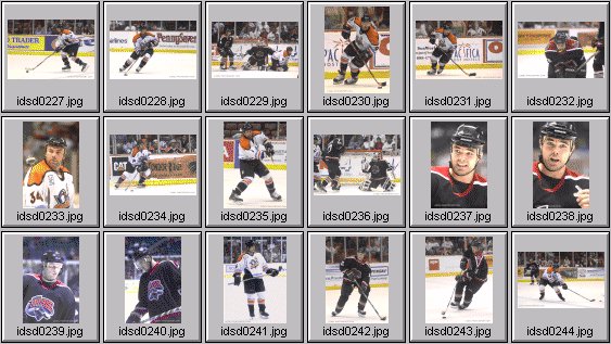 hockey photos