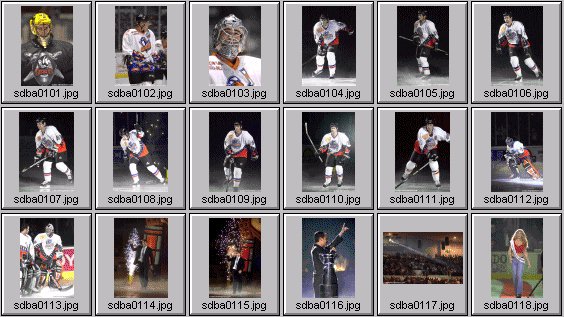 hockey photos