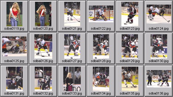 hockey photos