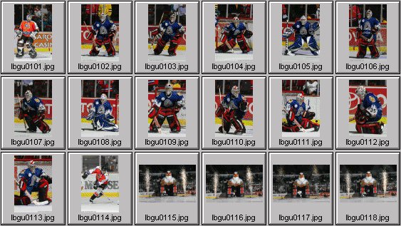 hockey photos