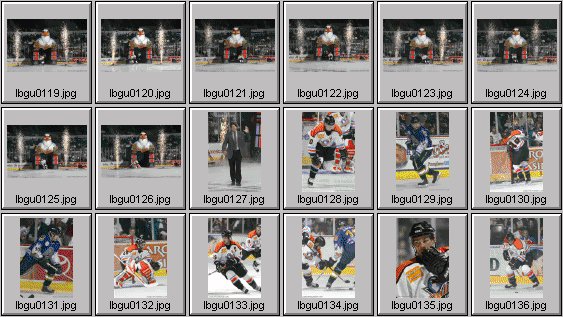 hockey photos