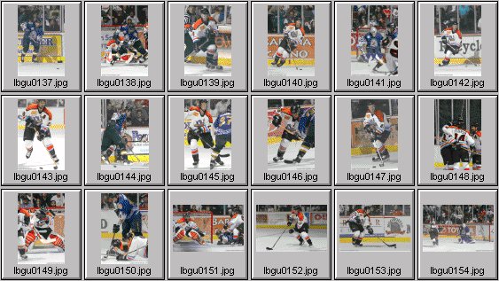 hockey photos