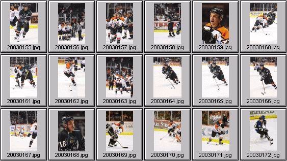 hockey photos