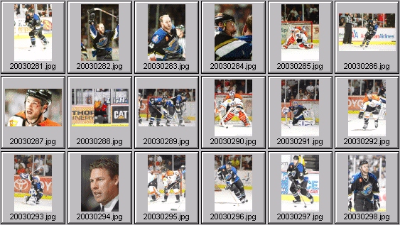 hockey photos