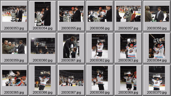 hockey photos